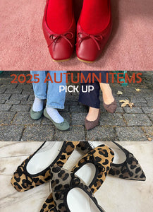 2025 AUTUMN ITEMS PICK UP