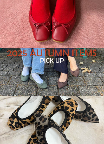 2025 AUTUMN ITEMS PICK UP